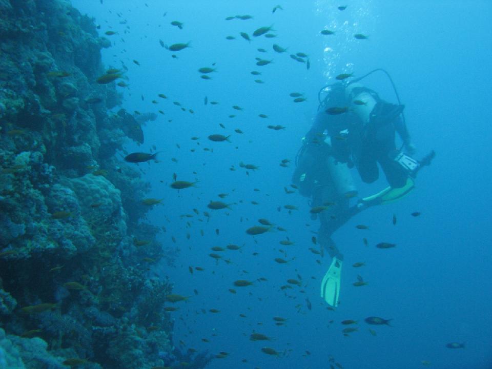 2012_02_16 rotes meer 138.jpg